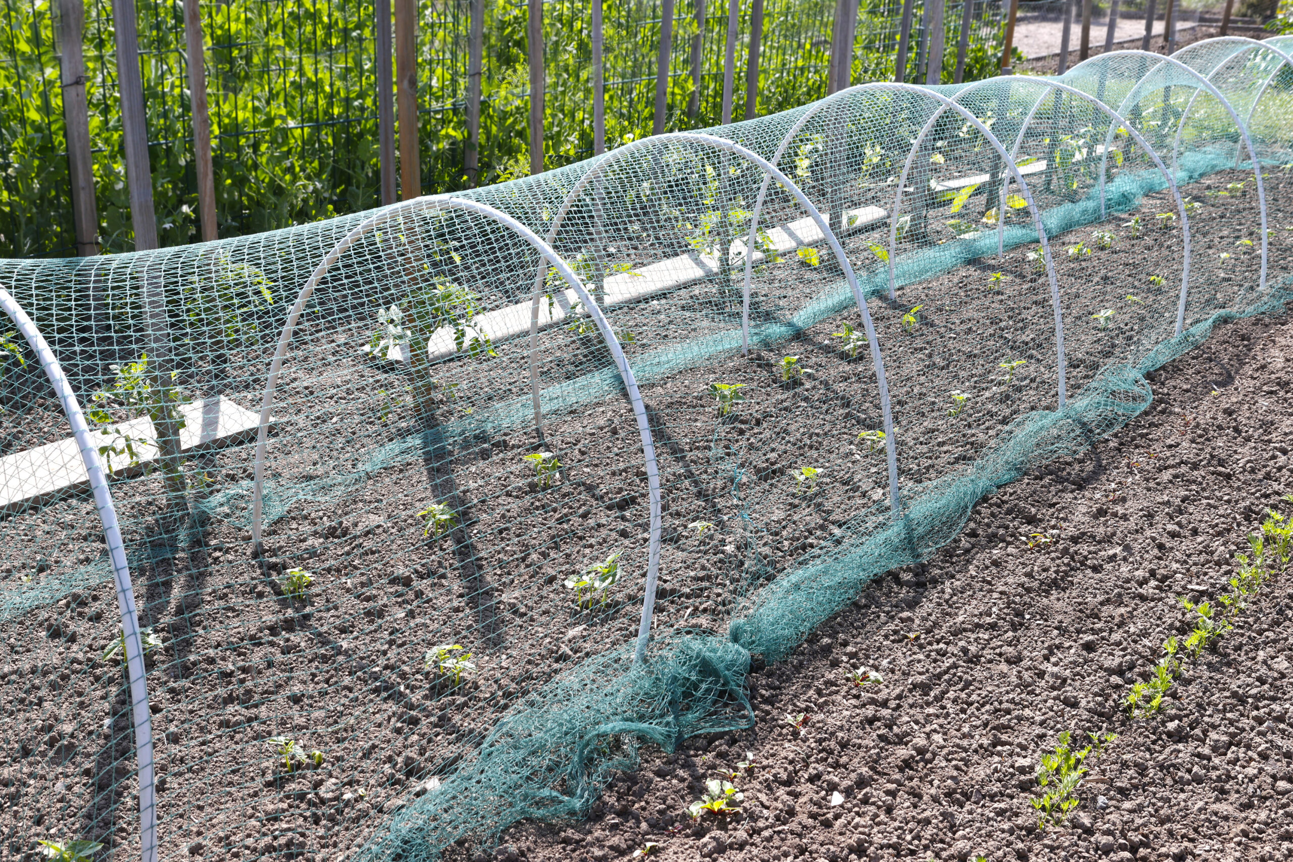 Vente en gros de Filet De Jardin auprès de fabricants, produits